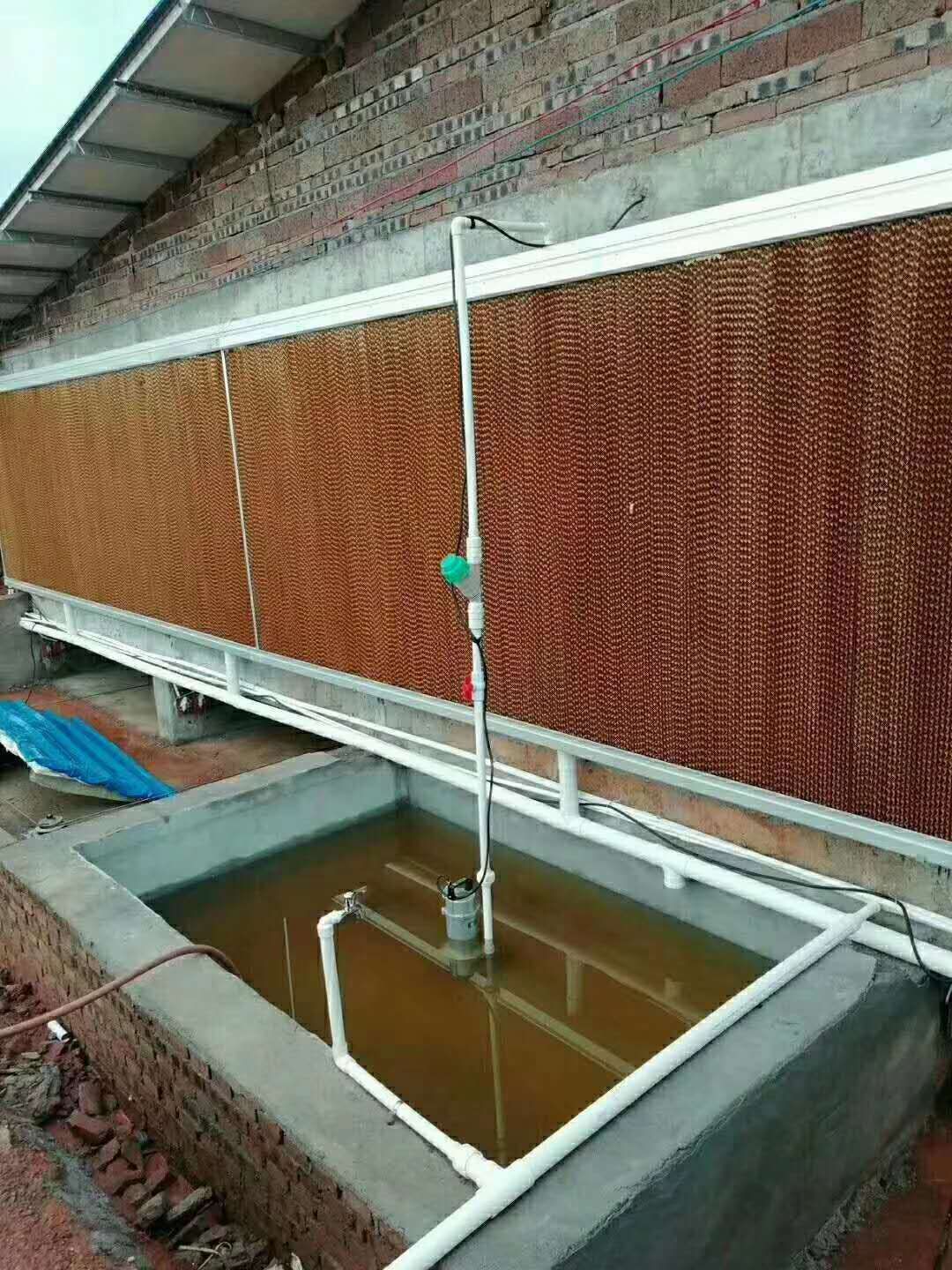 猪水帘风机