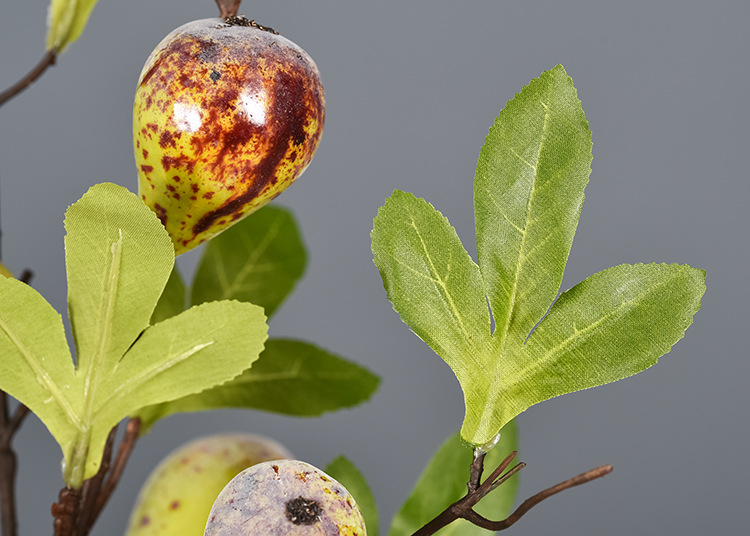 带霜无花果枝仿真植物水果装饰假花无花果带叶子树枝野趣寓意礼物