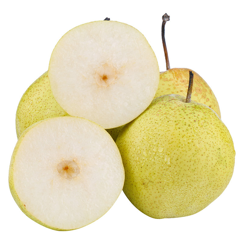 【全年款】雪花梨 河北正宗雪梨 新鲜应季水果梨子冰糖雪梨代发