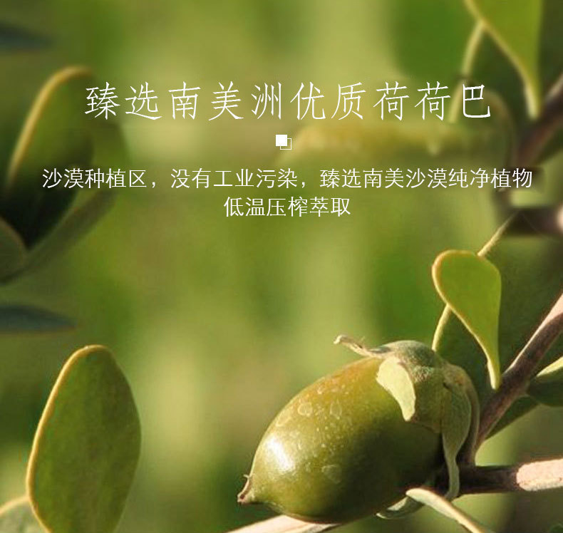 进口金色荷荷巴油霍霍巴油补水去黑头身体脸部按摩精油手工皂原料