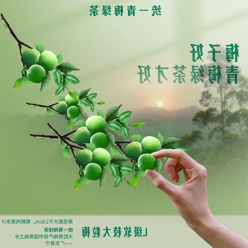 青梅绿茶500*15瓶1*4瓶整箱软枝大粒梅解腻够味梅香茶饮料-阿里巴巴