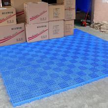 防潮垫板垫仓板栈板置物胶垫板商业仓库塑料地下室地托胶卡板大型