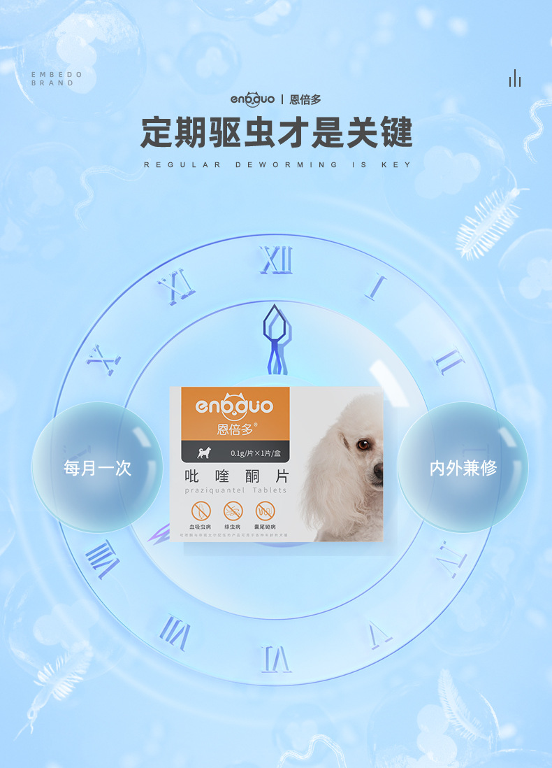恩倍多宠物体内驱虫药 猫咪狗狗吡喹酮体内打虫蛔虫药