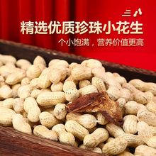 盛兴源陈皮花生广东龙岩花生坚果零食KTV炒货新会陈皮花生带壳熟