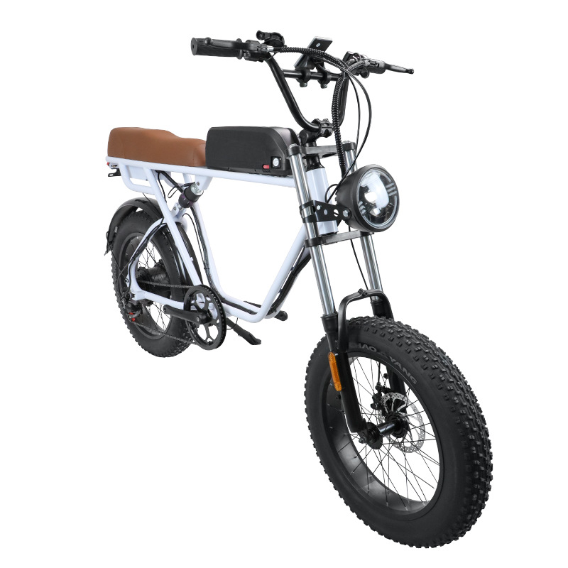 ftn锂电池越野电动自行车助力代步20寸山地车沙滩摩托车电瓶车