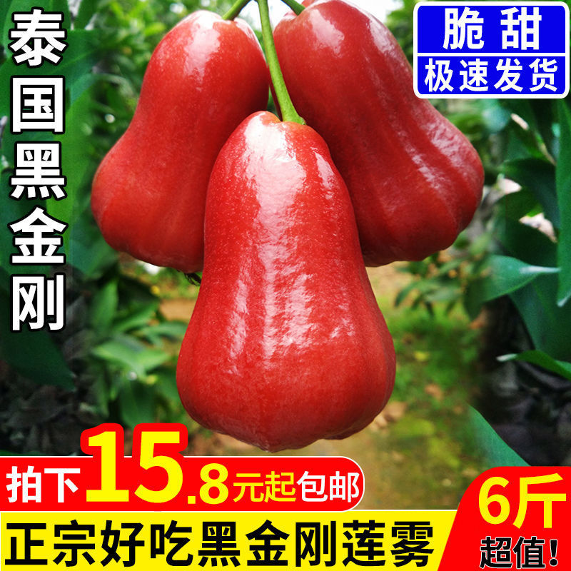 正宗泰国黑金刚莲雾水果5斤新鲜进口当季热带莲雾果1斤批发