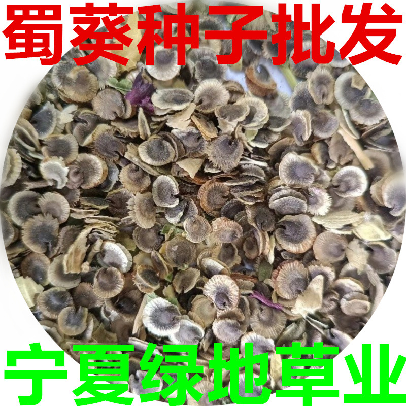 蜀葵种子花卉籽公路旁绿化二年生观赏花种子蜀葵花种子花卉种子