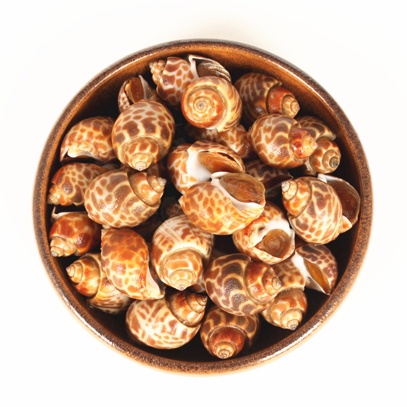 海鲜 生冻 花螺 海螺 料理餐饮酒店食材批发 2kg/包 自助餐 电商