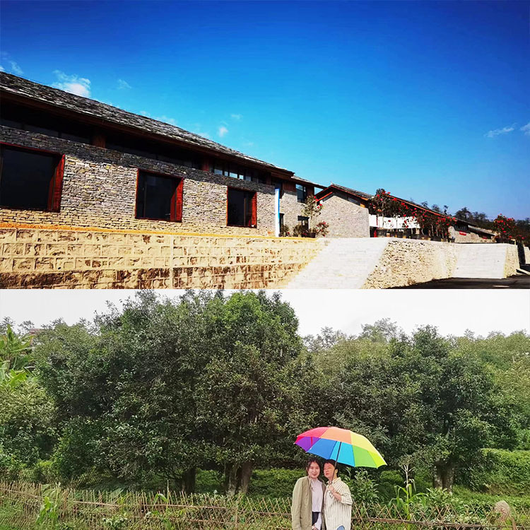 滇红 中国红 凤庆原产地自己生产拼配 高海拔茶园 品牌质量70年