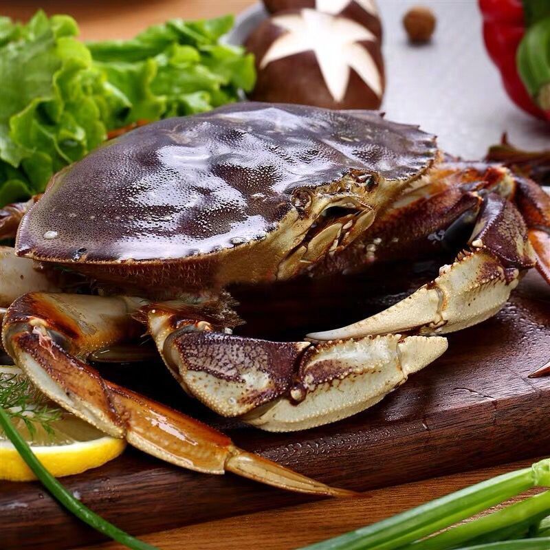 活冻加拿大珍宝蟹冰鲜生冻新鲜超大螃蟹面包蟹美国太子蟹海鲜水产