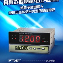 东崎TOKY DL8A/DL8-RC10V600 交直流通用 上下限报警 电压表