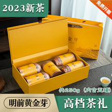 2023年新茶安吉绪言黄金芽明前精品高档礼盒装250g黄金白茶叶绿茶