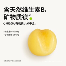 田喜粮鲜朝阳有机黄小米月子米小米粥煮粥熬米油 金苗K1粗粮群木
