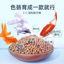 润色水族鱼缸观赏鱼金金鱼食锦鲤鱼食金金鱼饲料锦鲤增艳饲料鱼粮