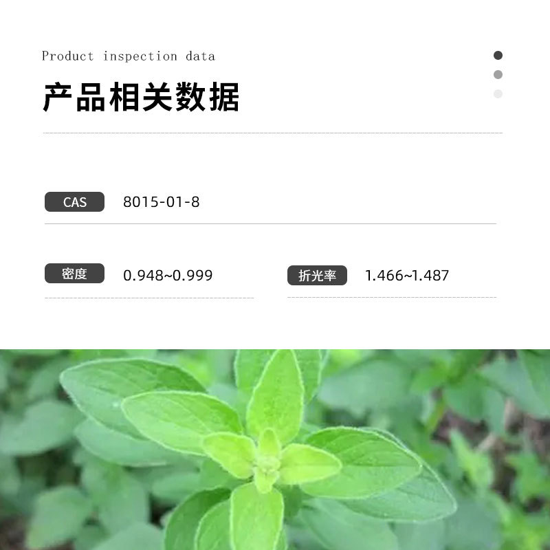 甜马乔莲(马郁兰)单方精油 marjoram eo 进口精油