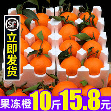 四川爱媛38号果冻橙当季水果新鲜超甜超薄手剥皮水果批发