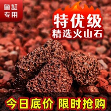 火山石颗粒鱼缸专用造景铺底砂养鱼过滤材装饰火山岩天然生态养鱼