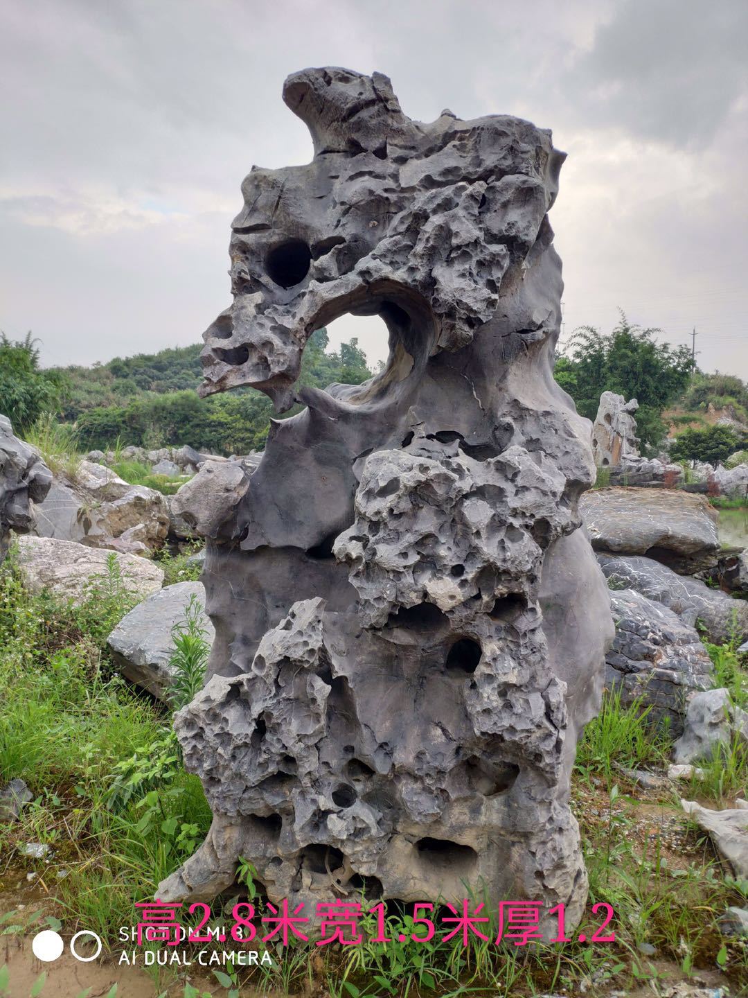 苏州园林太湖石庭院独石造型石风景摆件