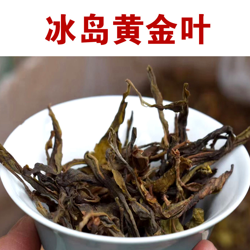 500克 2022年 冰岛黄金叶 普洱茶 散茶 生茶 勐库明前古树茶