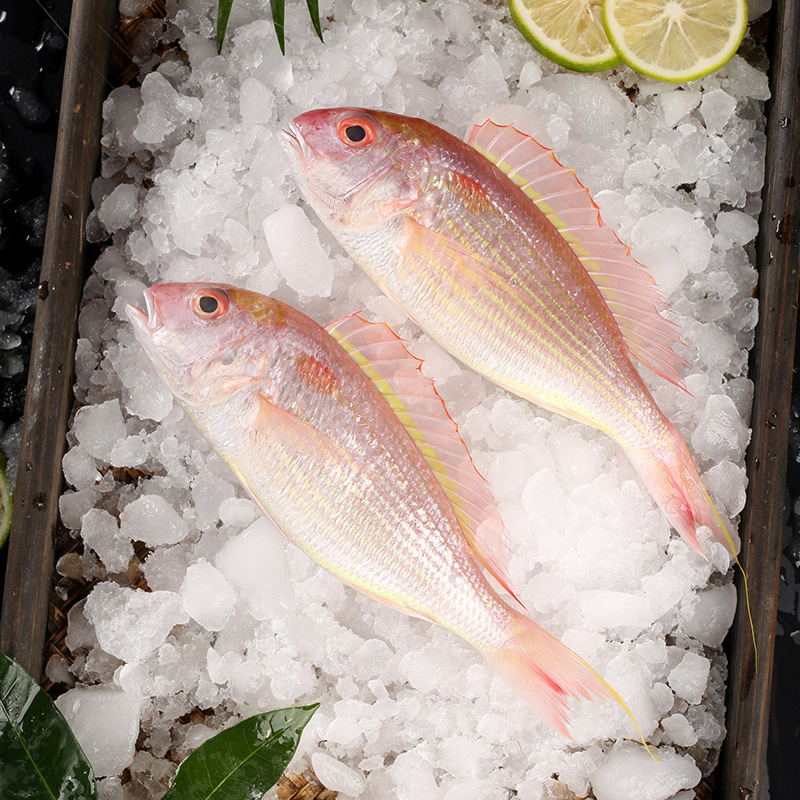 金线鱼红杉鱼500克/份