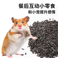 仓鼠零食油葵瓜子黑珍珠瓜子原味葵花子磨牙宠物食物带壳瓜子营养