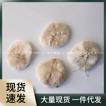 ins风天然蘑菇珊瑚贝壳海星海螺摆件饰品展示垫民宿装饰拍照道具