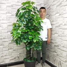 发财树仿真植物盆栽绿植塑料假树大型客厅落地假盆景装饰室内花