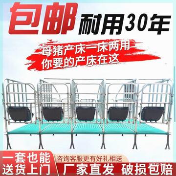 限位设备母猪漏粪板定位栏定位栏落地围栏养猪场猪圈栏设备猪用