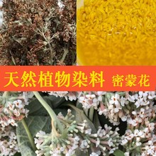 广西密蒙花 生干500g包邮纯天然黄花茶黄饭花树染料五色糯米植物