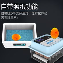 一望水床孵化器家用型孵化机全自动小型鸡蛋孵化箱智能小鸡孵蛋器