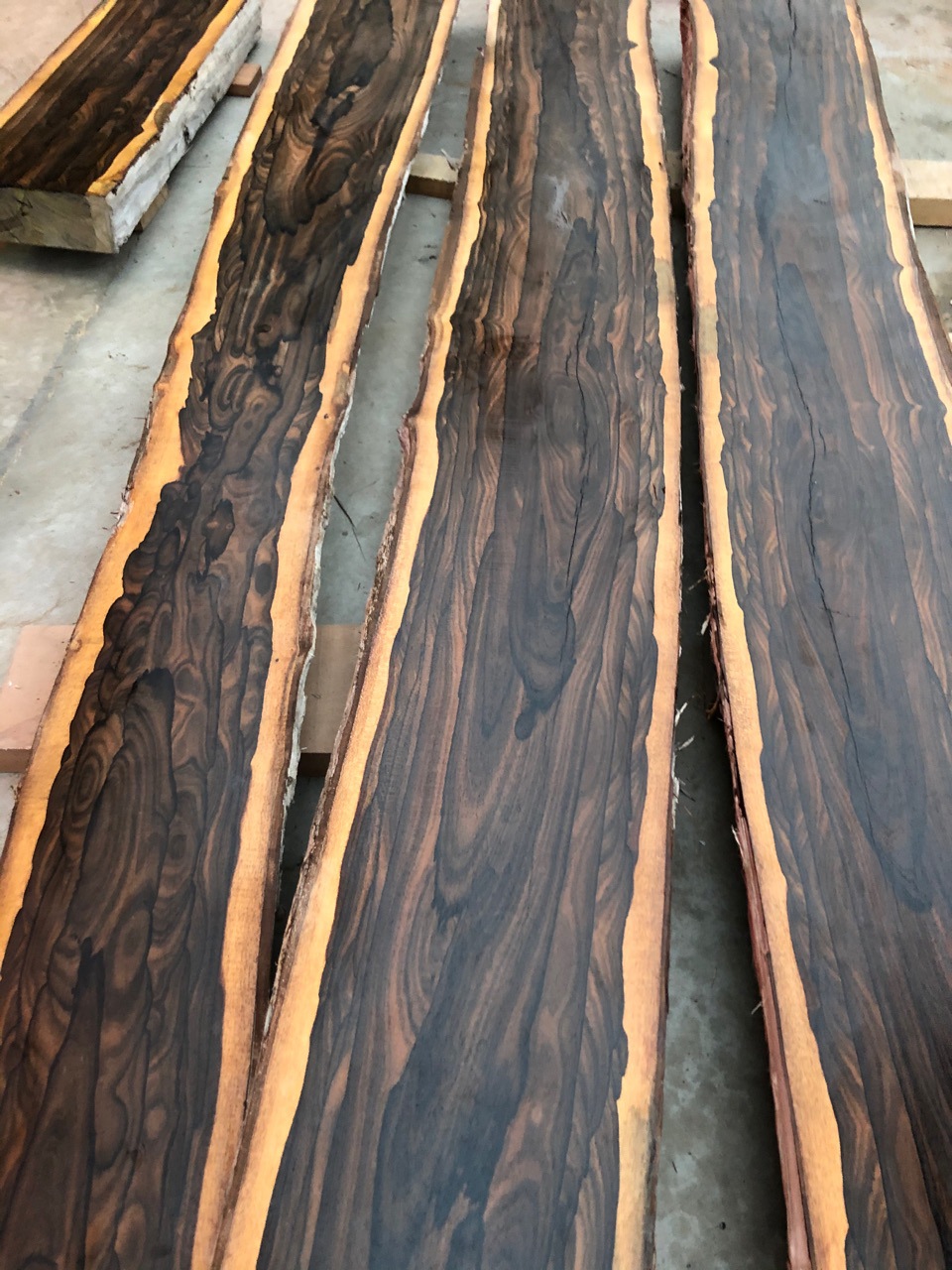 黑柿木 黑柿木原木木材 雕刻工艺品diy黑柿木木料 一手货源