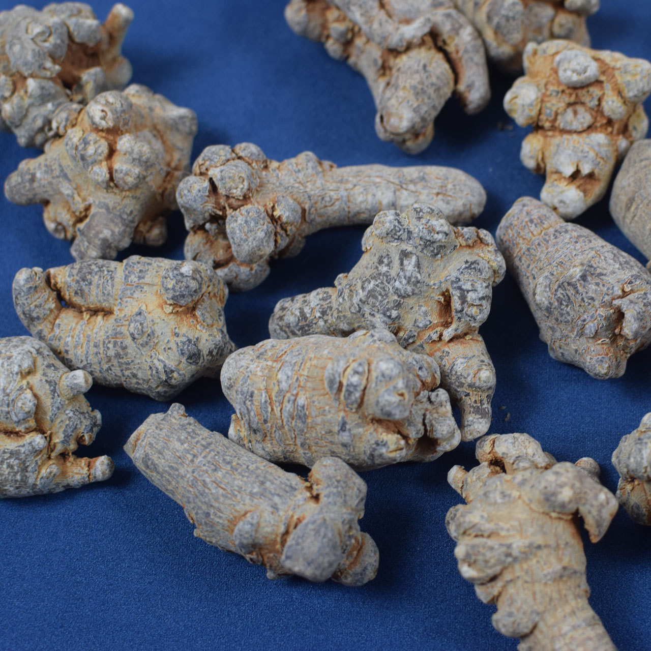 产地批发云南文山三七剪口全干 滑头三七头田七三七25头35头现货