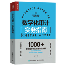 正版现货审计会计财务入门教材书籍 数字化审计实务指南程广华著