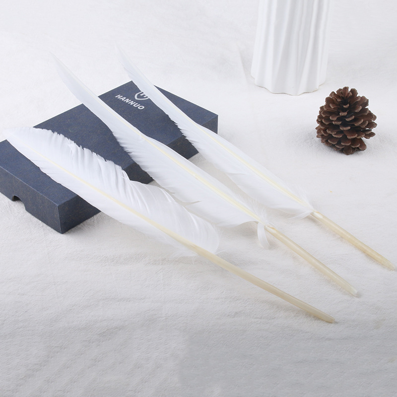 Factory Direct Sales Colorful Feather Goose Feather Humpback Knife Feather Feather Diy Ornament Feather Pen Wing Material