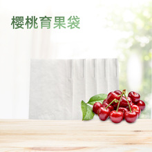 樱桃专用育果袋防水防虫樱桃保护袋透气纸袋青枣车厘子水果纸套袋
