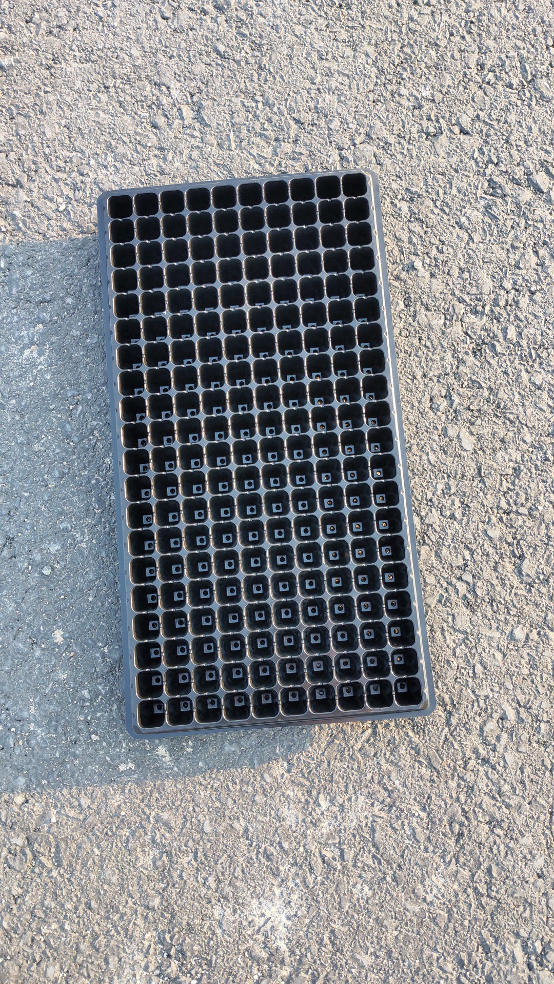 育苗穴盘扦播种盘蔬菜苗盘育苗盘21孔32孔50孔72孔落地式无1-阿里巴巴