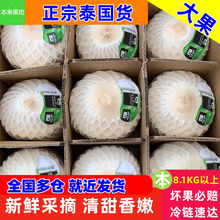 大果900g】泰国椰青9个 进口新鲜椰子孕妇水果香水椰奶香椰海风椰