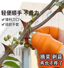 家用果蔬采摘剥豆掐菜叶拇指刀摘菜神器指甲摘花椒专用指套手指套