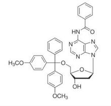 N6-苯甲酰基-5'-O-(4,4'-二甲氧基三苯基)-2'-脱氧腺苷64325-78-6