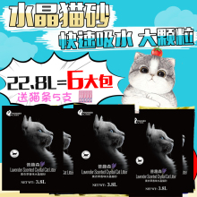 6包精灵猫水晶猫砂 大颗粒 3.8L*6除臭抗菌 普趣森水晶猫到达贸易