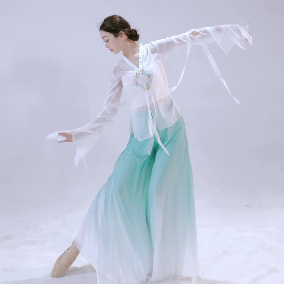 古典舞舞蹈服练功服身韵飘逸仙气纱衣上衣长款中国舞演出服套装女