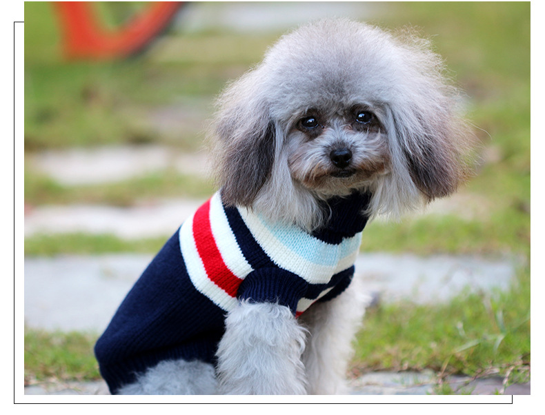 新款狗狗衣服秋冬装泰迪比熊博美法斗柯基小奶狗宠物小型犬中型犬