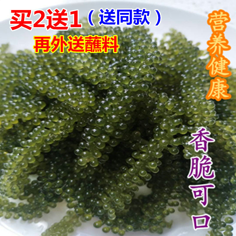 盐渍新鲜海葡萄长寿菜海藻菜海菜寿司绿色鱼子酱100g