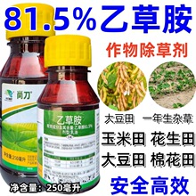 尚刀81.5%乙草胺 玉米花生大豆棉花一年生杂草封杀草籽除草剂农药