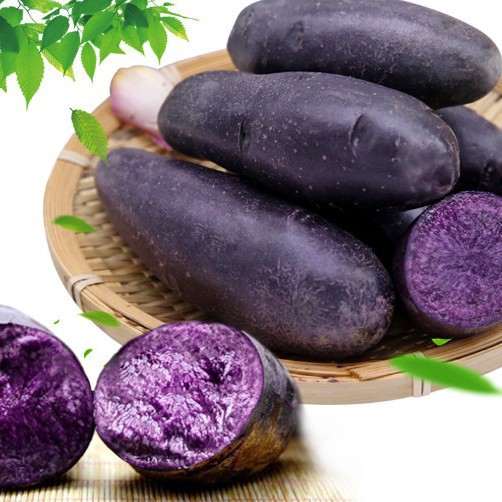 定制黑土豆新鲜蔬菜黑金刚乌洋芋紫色马铃薯紫黑花青素土豆批发
