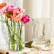 网红ins风玻璃花瓶透明水养鲜花玫瑰百合鲜花花瓶高级感客厅咖佑
