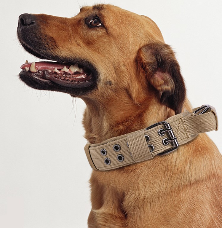 新品 战术反光条狗圈五档调节 夜间宠物狗项圈发光狗圈k9宠物项圈