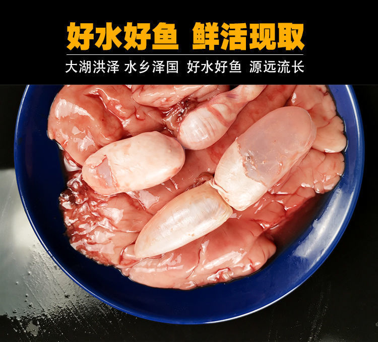 新鲜鱼杂鱼油鲤鱼鱼白鱼籽鱼白鱼泡水产冷链保鲜发