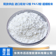 超细尼龙12粉 耐腐蚀性聚酰胺PA粉 微米级PA12粉末 2001 UD NAT 2