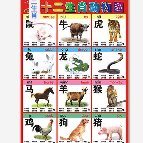 幼儿看图识字学习认知卡启蒙挂图12生肖认识动物交通儿童早教挂图拼拼